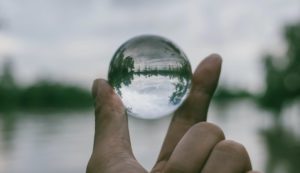 Ley de transparencia 2022